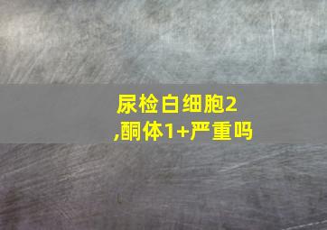 尿检白细胞2 ,酮体1+严重吗